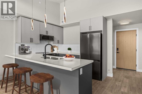 308a, 1 Industrial Place, Canmore, AB T1W1Y1 Photo 5