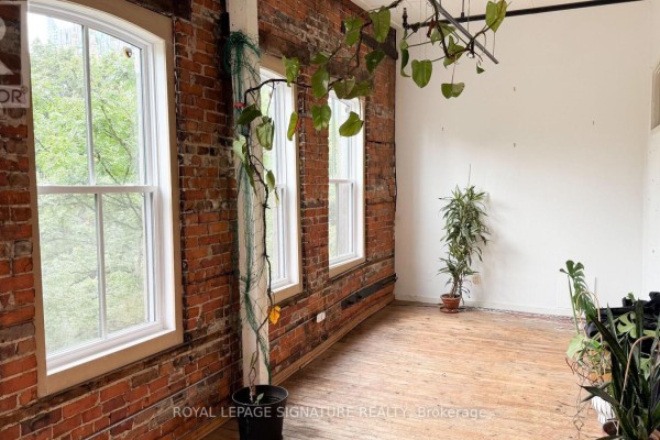 Kitchen - 309 - 132 Adelaide Street E, Toronto, ON M5C1K9 Photo 3