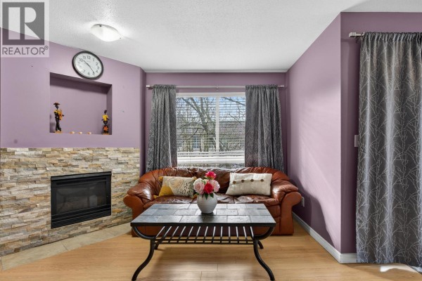 Detail of the stone fireplace with decorative figures and purple wall backdrop. - 309 2435 Welcher Avenue, Port Coquitlam