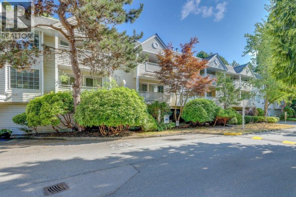 309 7571 Moffatt Road, Richmond, BC V6Y3N1 Photo 2