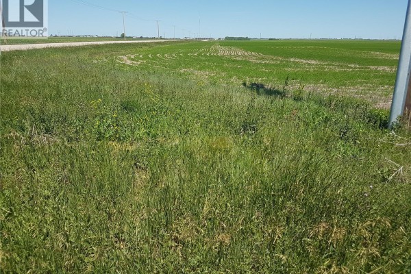 309 81 Acres Land Only, Sherwood Rm No 159, SK, photo 3