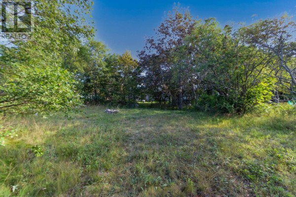 309 Freshwater Road, St  John S, NL, photo 2