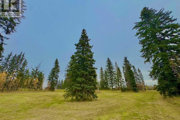 309 Valley View Drive, Rural Clearwater County, AB, photo 2
