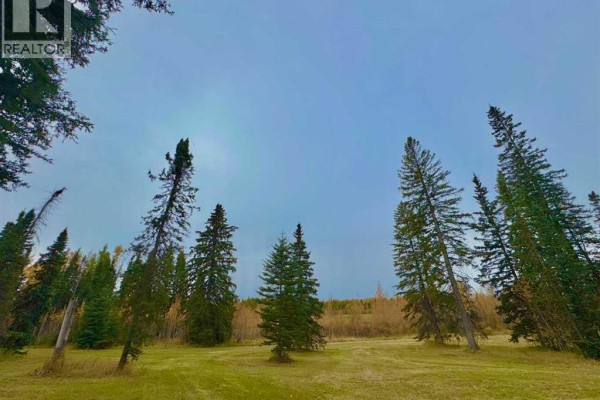309 Valley View Drive, Rural Clearwater County, AB T4T1A7 Photo 4