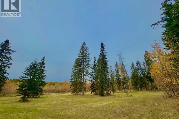 309 Valley View Drive, Rural Clearwater County, AB T4T1A7 Photo 5