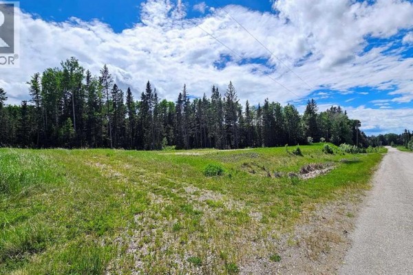 31, 5209 Township Road 325a, Rural Mountain View County, AB T0M1X0 Photo 4