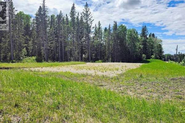 31, 5209 Township Road 325a, Rural Mountain View County, AB T0M1X0 Photo 5