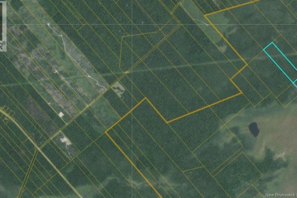 31 Acres Off Dunphy Road, Miramichi, NB E1N0B4 Photo 2