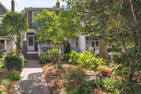Path leading to the front door of a residential house with lush landscaping. - 31 Cassels Avenue, Toronto