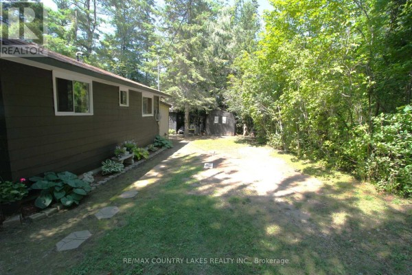 View of the backyard with a gravel area, mature trees, and a small shed structure. - 31 Hillcrest Avenue, Kawartha Lakes