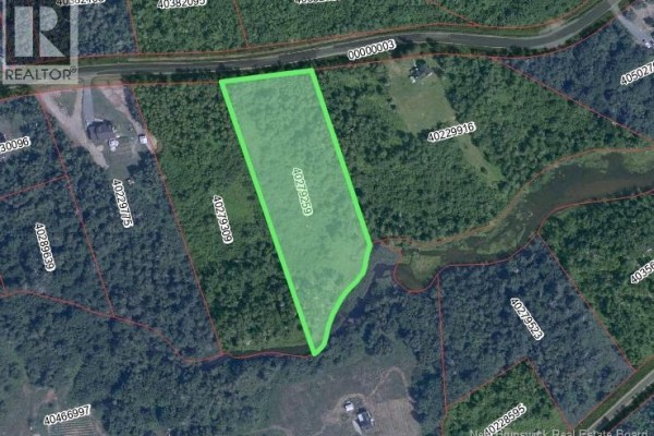 Aerial view of a green-highlighted lot in a wooded area, adjacent to a road and nearby properties. - 31 Labranche Chemin, Baie Sainte Anne