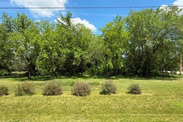 A grassy yard with five trimmed bushes and a row of trees under a bright blue sky with clouds. - 31 Main Street, Tyndall