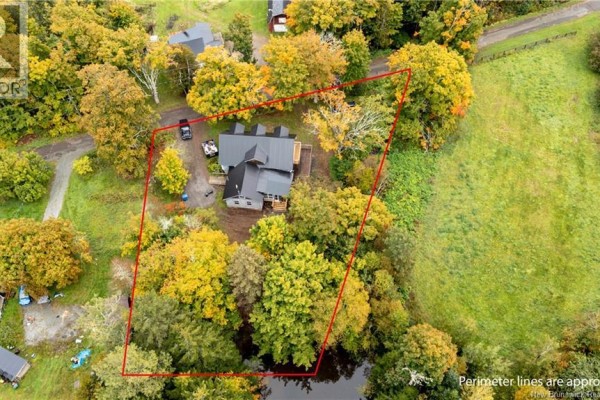 Aerial view of a property with a house, outbuildings, pond, and trees in autumn foliage. - 31 Old Great Road, Hopewell Cape