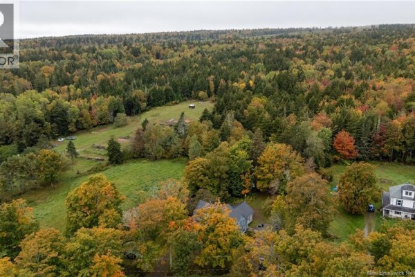 Aerial view of houses nestled amongst trees with colorful autumn leaves and rolling hills. - 31 Old Great Road, Hopewell Cape