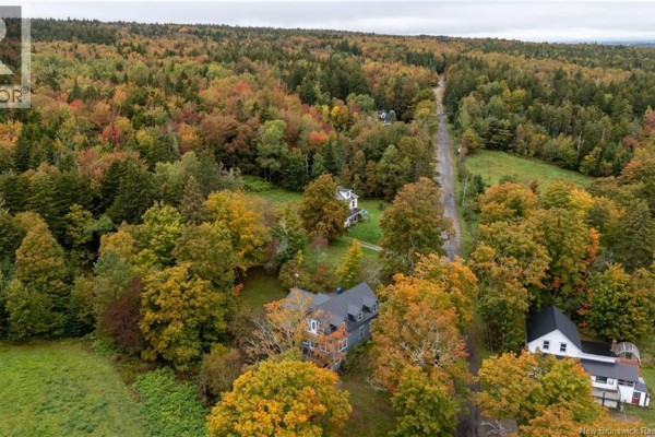 Aerial view of rural houses along a road surrounded by dense forest in autumn. - 31 Old Great Road, Hopewell Cape