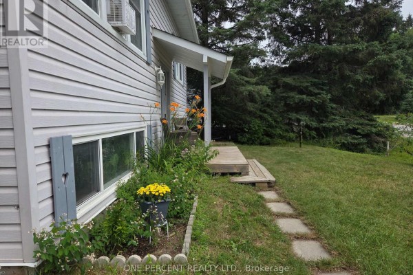 Kitchen - 31 Prince Street, Minden Hills, ON K0M2K0 Photo 3