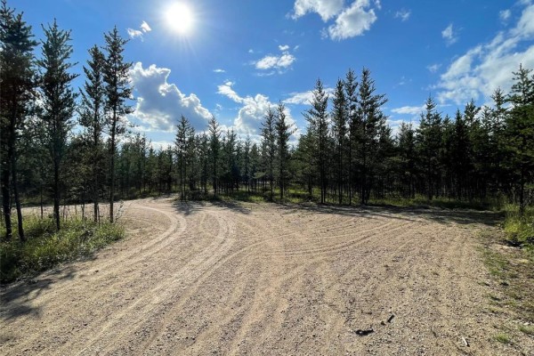 31 Sandhill Drive, Sandilands, MB, photo 2
