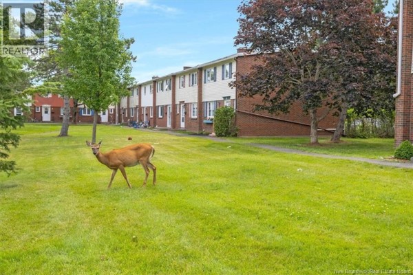 31 Wasson Court, Saint John, NB, photo 2