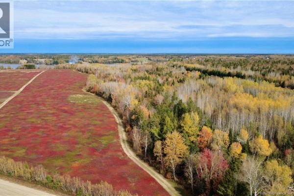 31.7 Acres Straight Brook Road, Tabusintac, NB E9H2B3 Photo 5