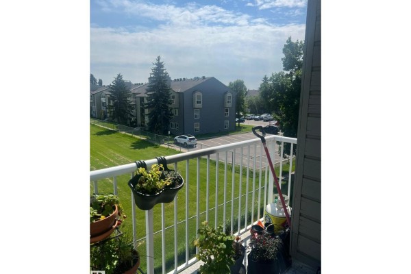 #310 60 Alpine Pl, St  Albert, AB T8N3Y2 Photo 5