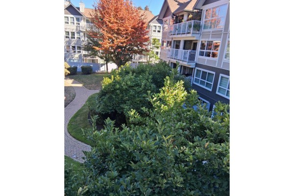 310 9626 148 Street, Surrey, BC V3R0W2 Photo 3