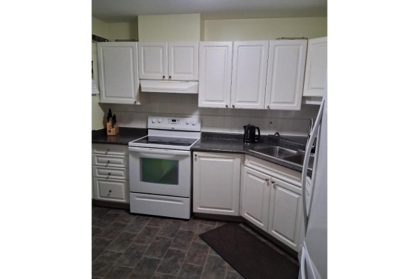 310 9626 148 Street, Surrey, BC V3R0W2 Photo 4