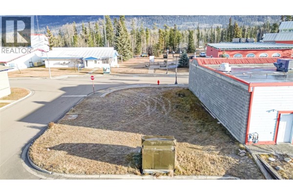 310 Iles Way, Tumbler Ridge, BC V0C2W0 Photo 2