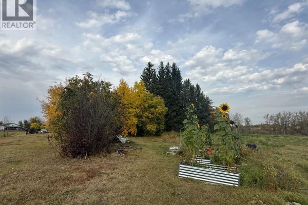View of a garden with sunflowers and raised garden beds, surrounded by trees and a grassy yard. - 31040a Twp Rd 524, Rural Vermilion River, County Of