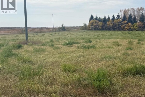 Expansive view of a grassy field with scattered trees and a utility pole under a cloudy sky. - 31040a Twp Rd 524, Rural Vermilion River, County Of