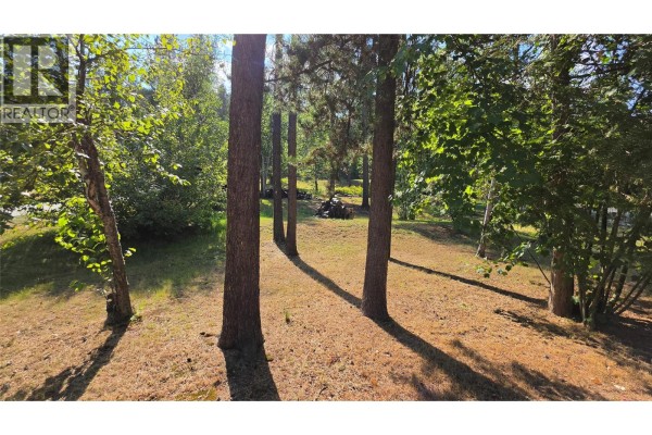 3108 1st Avenue, Castlegar, BC V1N2R3 Photo 4