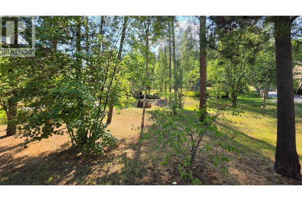 3108 1st Avenue, Castlegar, BC V1N2R3 Photo 5