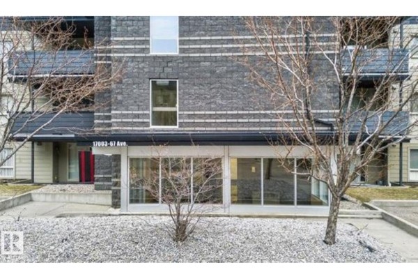 Kitchen - #311 17003 67 Av Nw, Edmonton, AB T5T6Y6 Photo 3