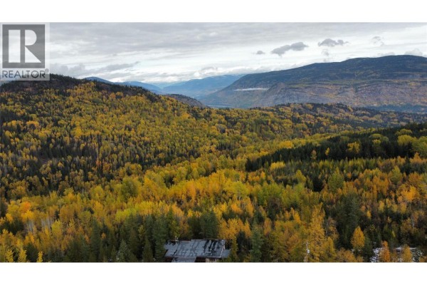 311 Richie Road, Rossland, BC V0G1Y0 Photo 5