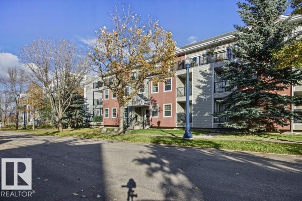 Den - #312 9739 92 St Nw, Edmonton, AB T6C3S3 Photo 4