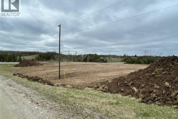 312095 Highway 6, Ayton, ON N0G1C0 Photo 2