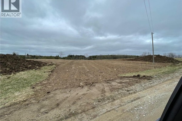 312095 Highway 6, Ayton, ON N0G1C0 Photo 3