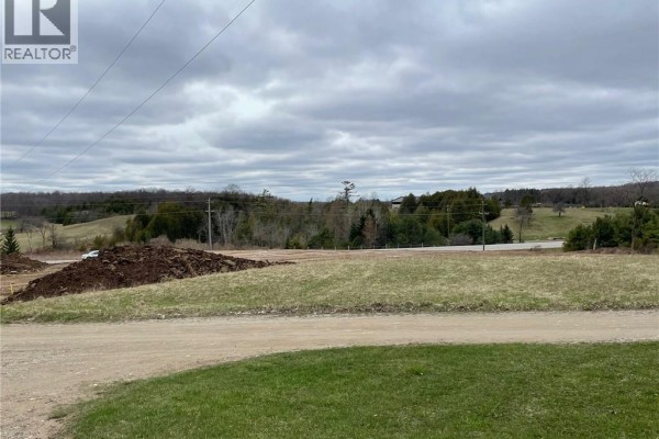 312095 Highway 6, Ayton, ON N0G1C0 Photo 4