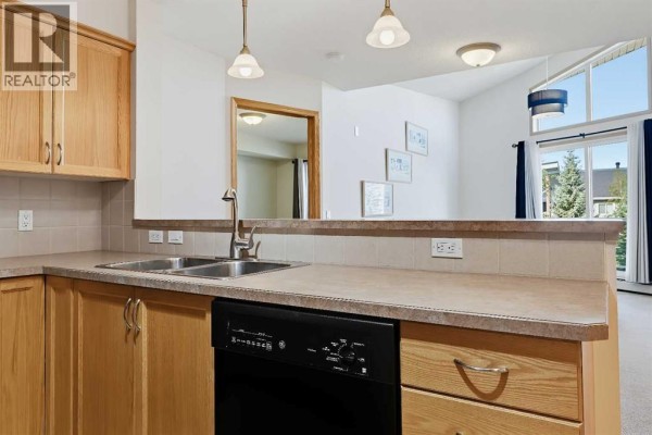 Kitchen counter with stainless steel sink and dishwasher, looking into the living area. - 313, 380 Marina Drive, Chestermere