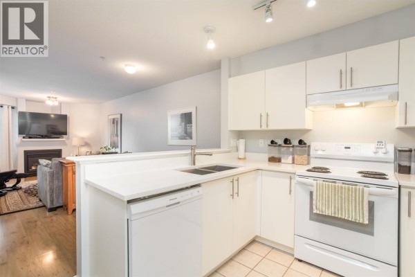 313 147 E 1st Street, North Vancouver, BC V7L1B2 Photo 3