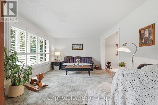 Living room with a plaid sofa, coffee table, large plant, and plantation shutters. - 313 Bruce 15 Road, Brockton