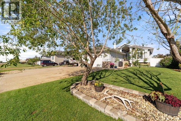 5pc Bathroom - 313 Hanson Street, Bawlf, AB T0B0J0 Photo 2