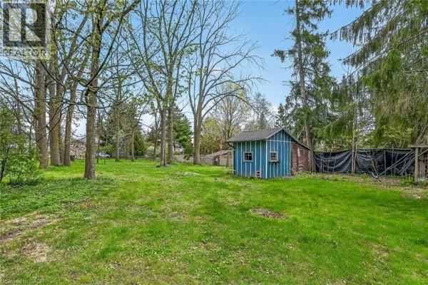 Backyard view showing a blue shed and a chain-link fence with tarp covering. - 313 John Street, Simcoe