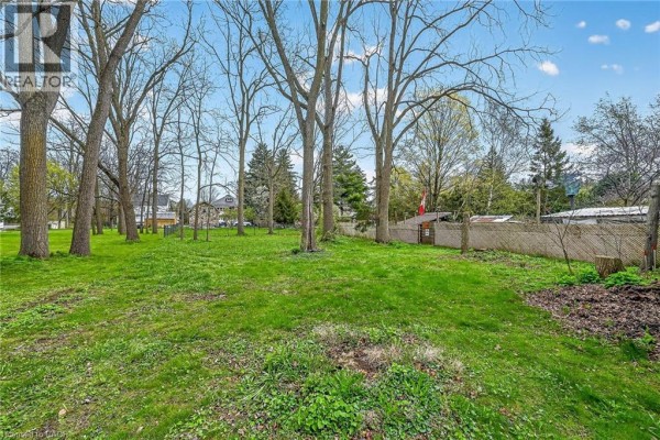Grassy backyard with mature trees, a wooden fence, and a small storage shed. - 313 John Street, Simcoe