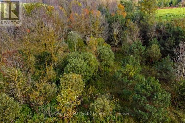 31313 Grey Road 14 Road, Southgate, ON, photo 3