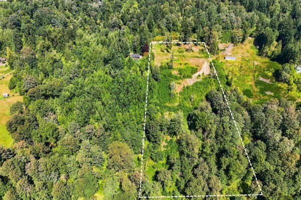 31390 Olson Avenue, Mission, BC V4S1E8 Photo 4