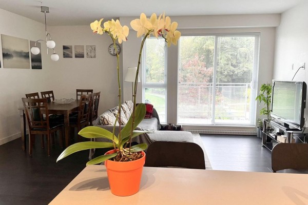 Living and dining area with a couch, dining table, and large window. - 314 13963 105a Boulevard, Surrey