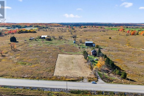 3142 County Rd 50, Adjala Tosorontio, ON L0G1L0 Photo 4