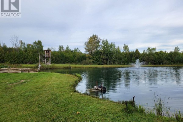 314346 Hwy 6 Highway, West Grey, ON N0G1R0 Photo 5