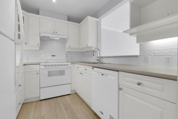 315 20448 Park Avenue, Langley, BC V3A4N3 Photo 3