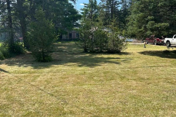 Living room - 315 Burnt River Road N, Kawartha Lakes, ON K0M1C0 Photo 3